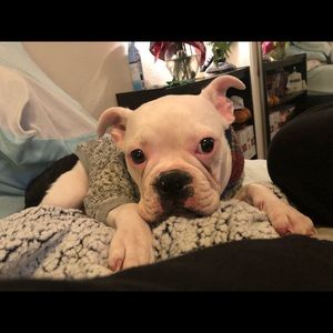 Meet your Posher, Lindsay